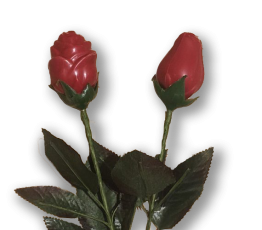 Valentijnsroosjes